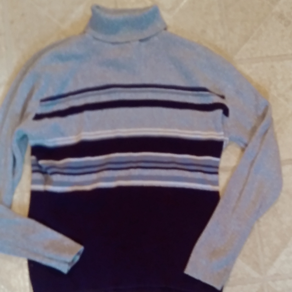 Blue & Light Blue Striped Turtleneck